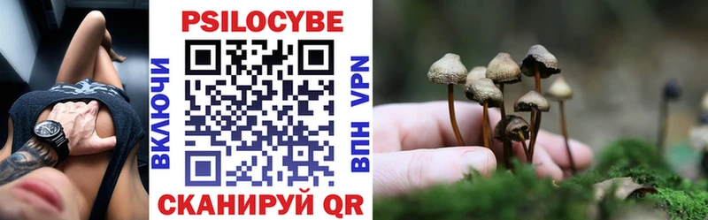 Галлюциногенные грибы ЛСД Камбарка